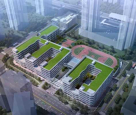 华东师范大学附属深圳龙华学校标识